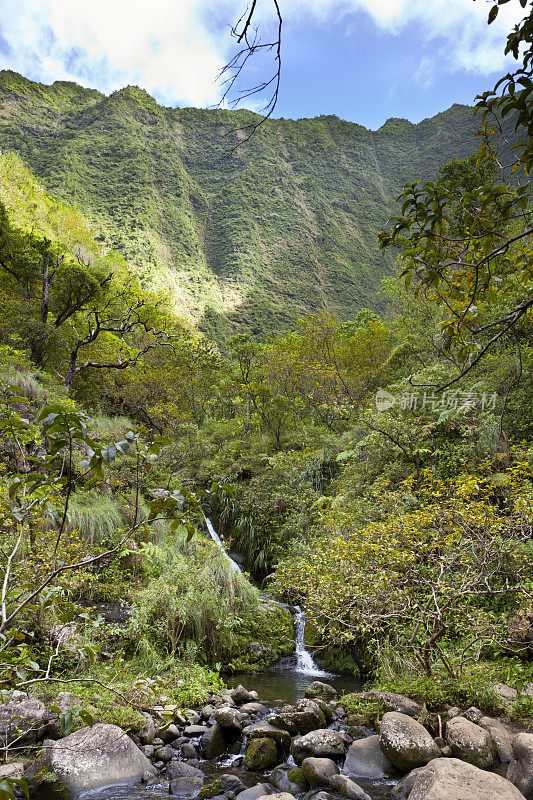 绿色峡谷,考艾岛