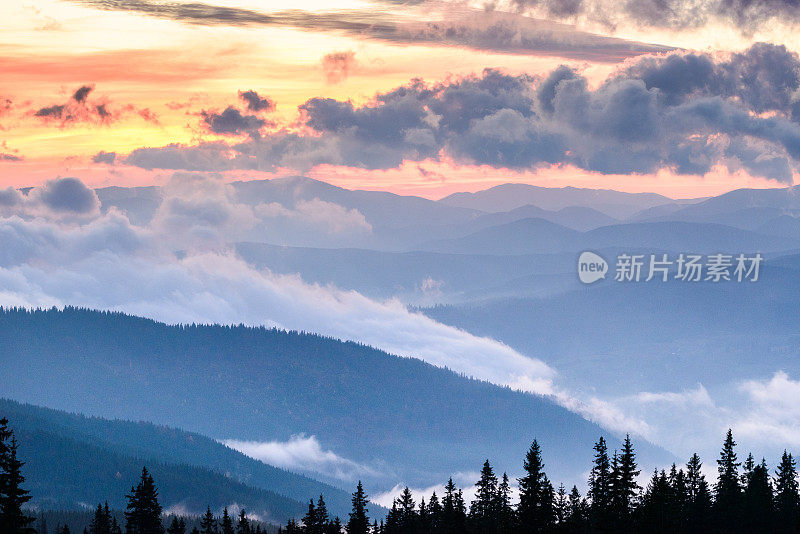 秋色山水带雾于山中。山上有冷杉林。喀尔巴阡山,乌克兰,欧洲