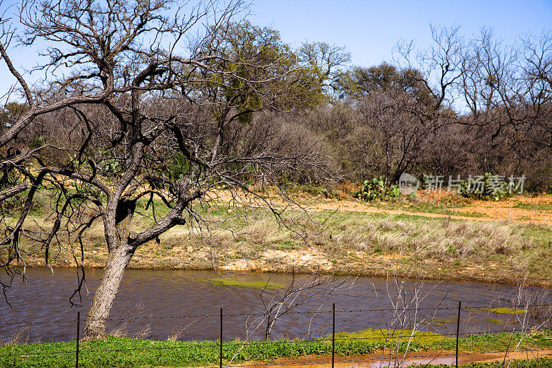 小池塘,景观。美国德克萨斯州希尔县。自然,铁丝围栏。