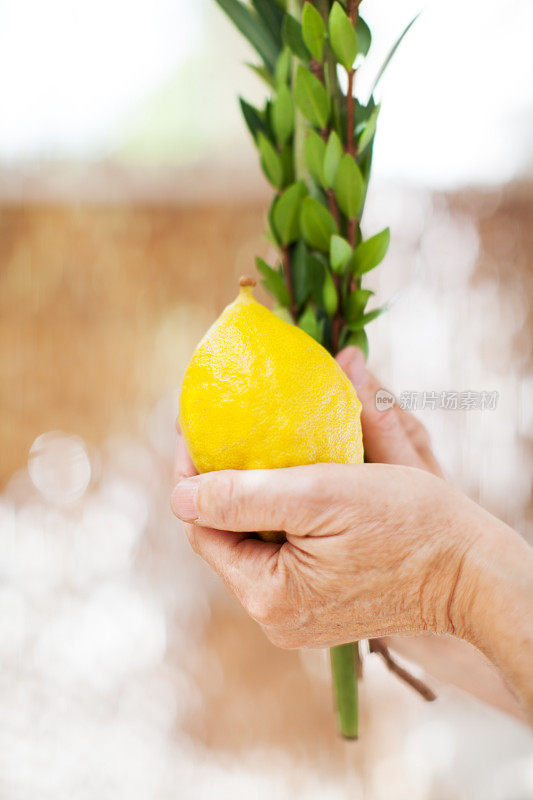 住棚节