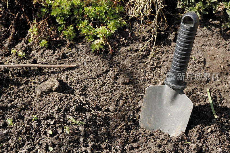 铲铲子，园艺，庭院工作
