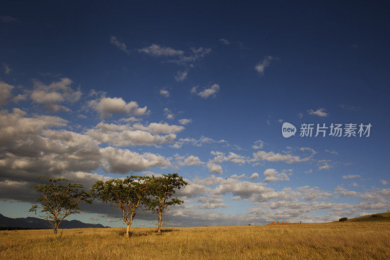 非洲景观与云彩，简短代码700031830