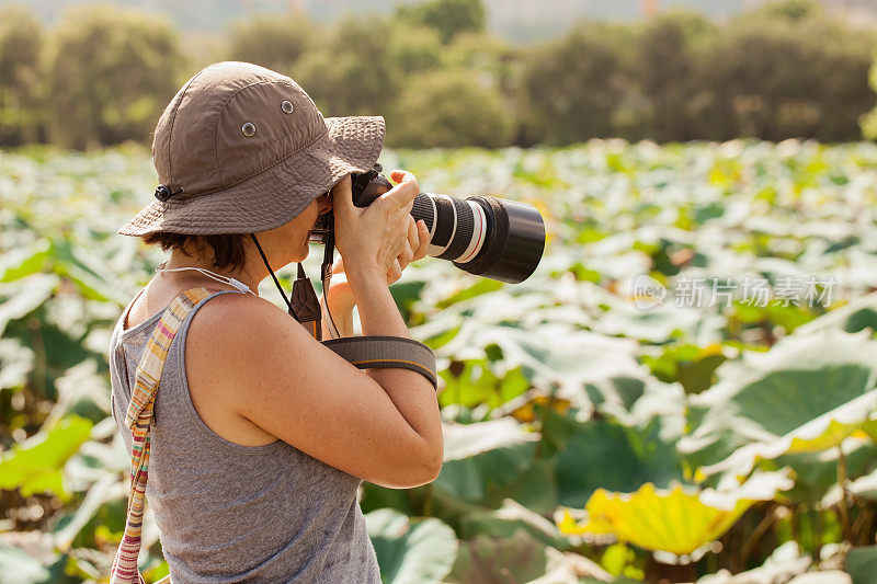 自然摄影师在热带沼泽的位置