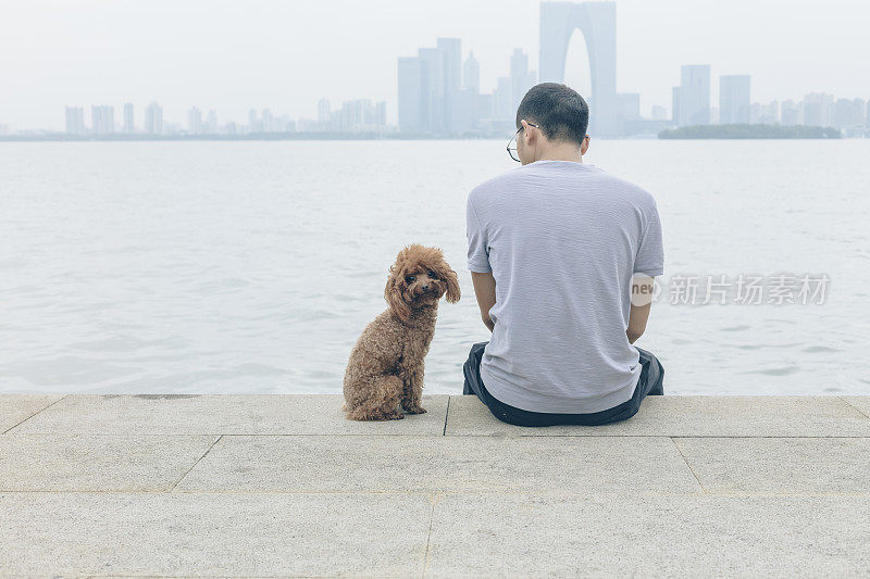 后视图的人坐在海滨和他的宠物在一边