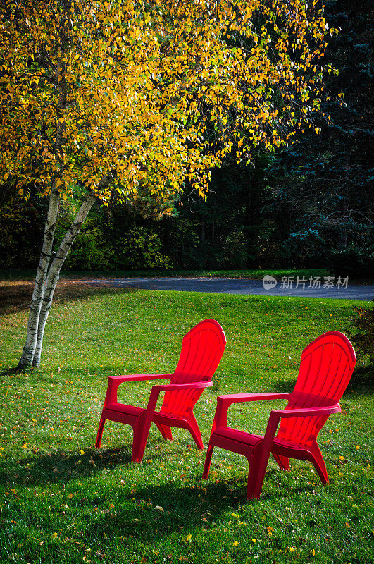 两个红色的椅子