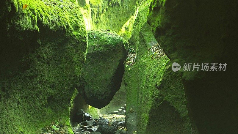 苔藓门是色津湖的绝佳景观