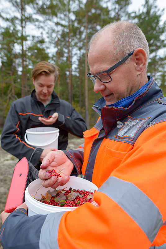 一个成熟的男人和一个年轻的男人一起在森林里工作
