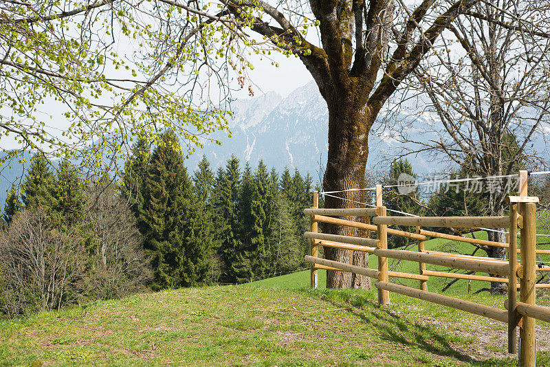 奥地利的乡村徒步路线