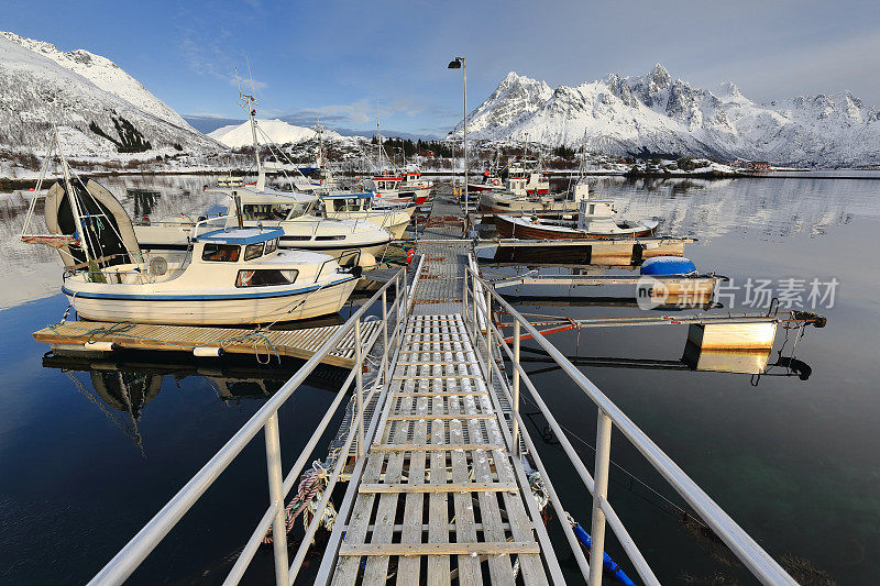 查看网元。在渔港sildpolltjonna湾。Austnesfjorden-Austvagoya-Nordland-Norway。0161