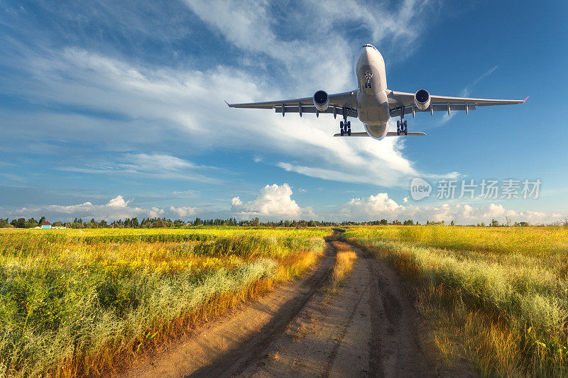 飞机。彩色的风景与客机是飞行在蓝天与云彩在黄色草地与道路在日落在夏季。客机正在降落。商用飞机