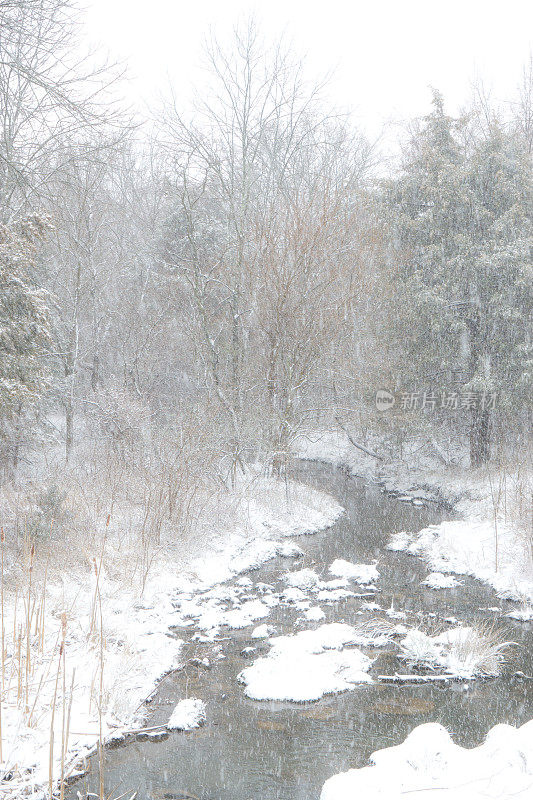 雪正在下降