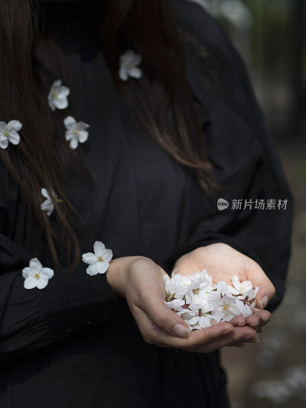 女人手掌上的樱花