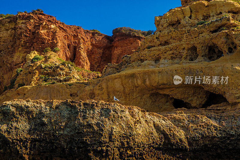 海滩和岩石在葡萄牙阿尔沃在夏末太阳的海景图像