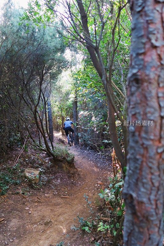 一对年轻夫妇在克罗地亚的森林里骑山地自行车