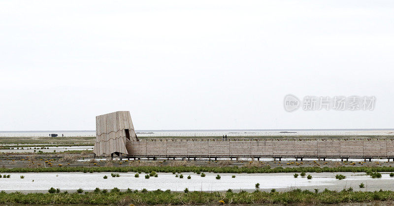 荷兰风景-马克瓦登春天2019