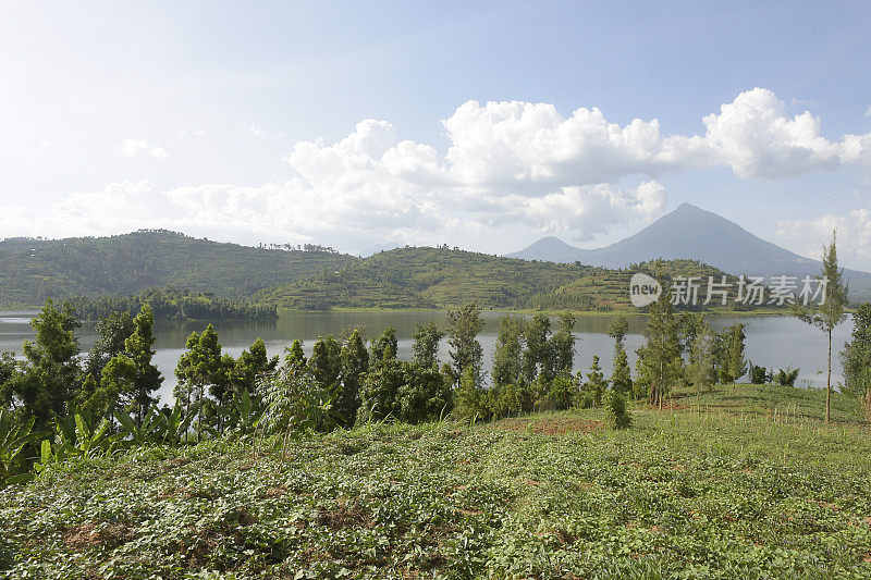 鲁洪多湖在维龙加火山山脉脚下-卢旺达