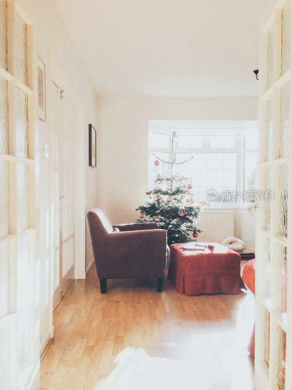 客厅里的圣诞树
