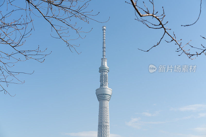 东京天空树，日本