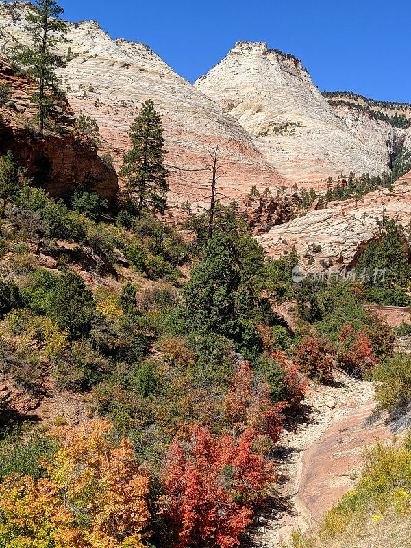 纳瓦霍砂岩悬崖和极端地形与秋天的颜色开始显示在犹他州锡安国家公园东部高原的河床