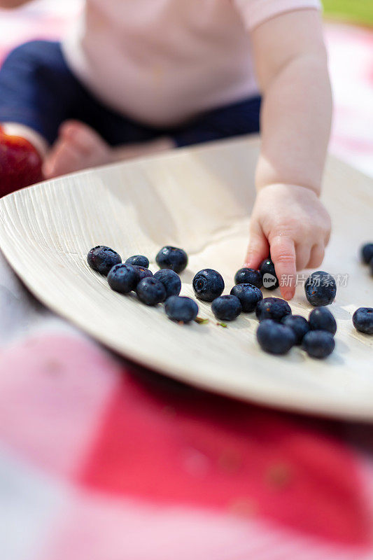 8个月大的女婴进行蓝莓水果和蔬菜感官体验