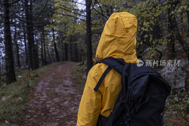 黄色的人站在雨中黑暗的森林后视图