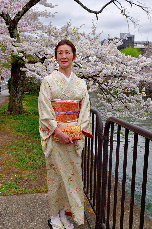 穿着和服的日本妇女在京都欣赏樱花