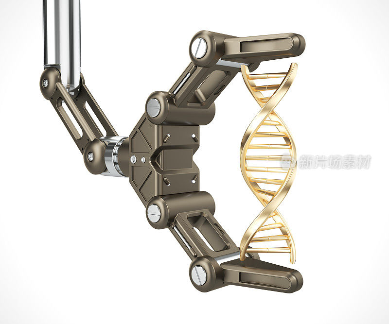 机械臂拥有金色的DNA结构