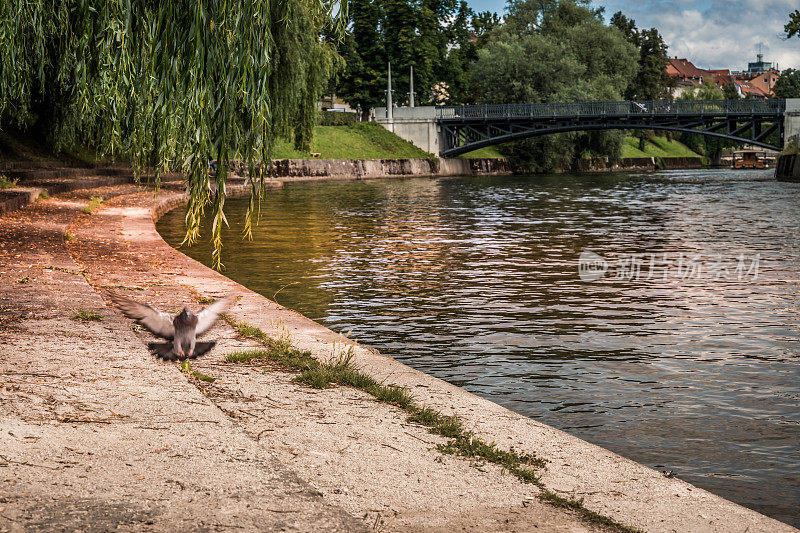 Ljubljanica河