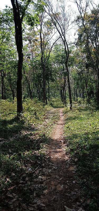 山间小路