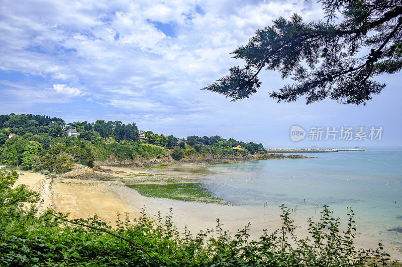 在海滩之间的松树，布列塔尼，法国