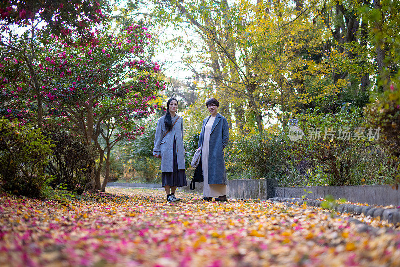 日本女性朋友走在彩色的落叶地毯在秋天