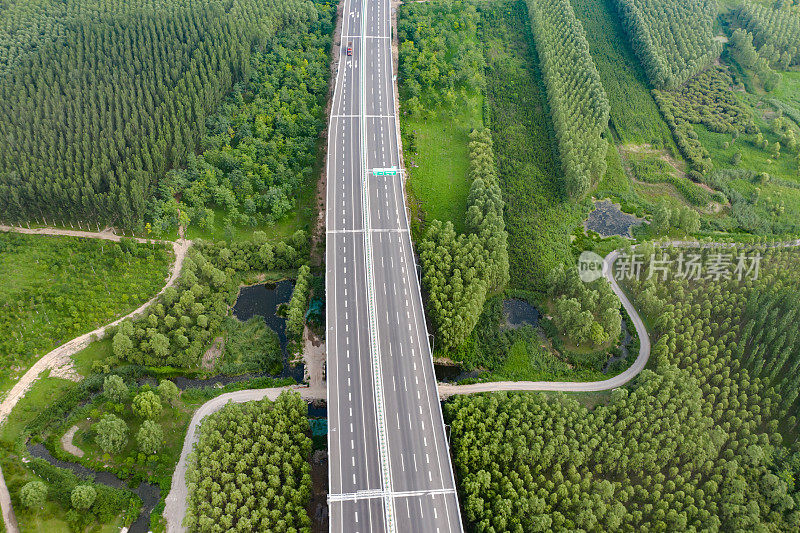 空中高速公路、森林