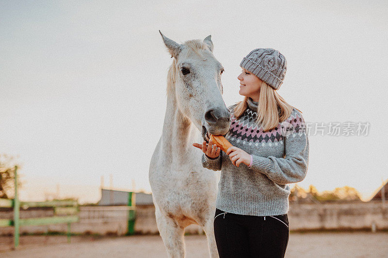 微笑的年轻女子与羊毛帽和老冬季套头衫喂她的白色母马与干面包在马厩