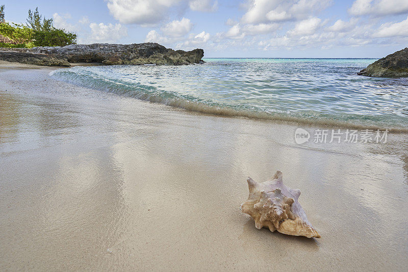 墨西哥尤卡坦半岛科苏梅尔岛加勒比海海滩上的海螺壳