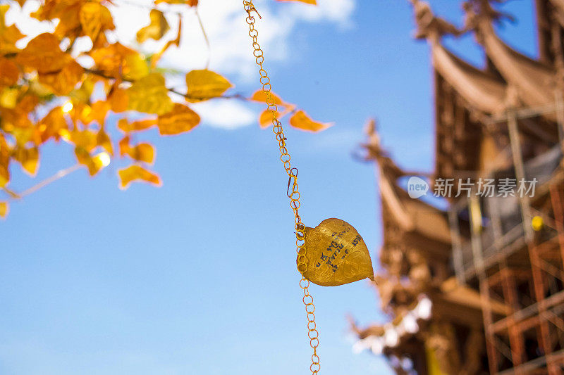 2016年12月23日，泰国芭堤雅:幸运之树上随风飘扬的金叶