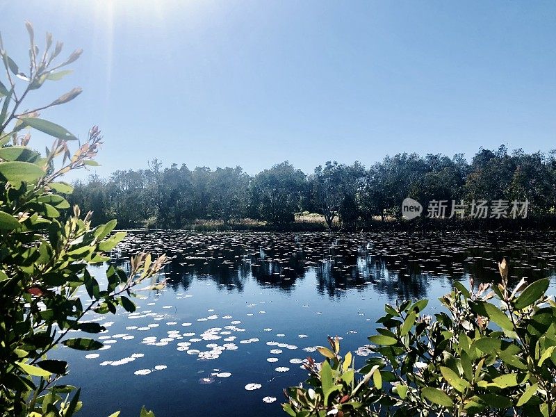 拜伦湾湖景观