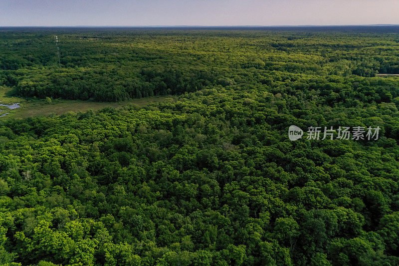 托伦斯湾和马斯科卡湖鸟瞰图，安大略省，加拿大