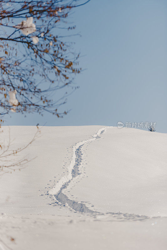 雪地里的小路