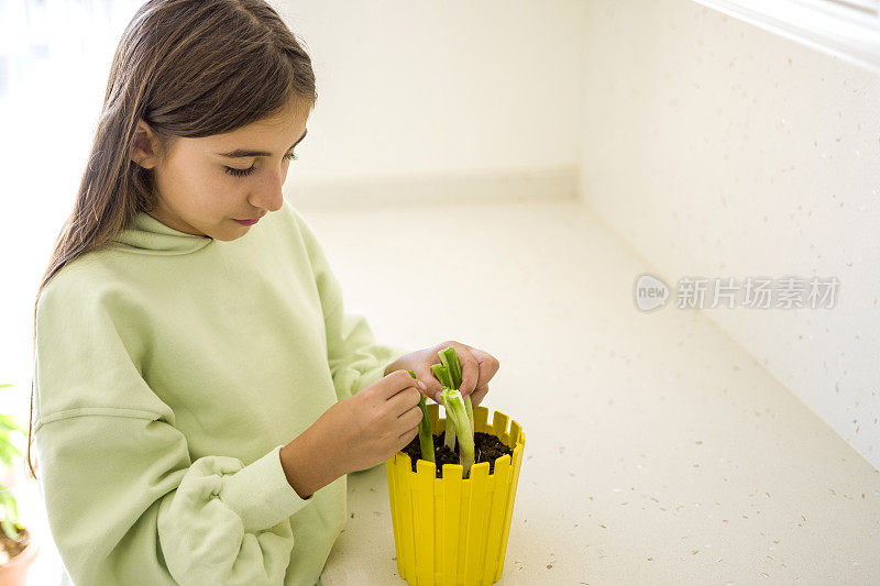 美丽的女孩又在土壤里发芽了