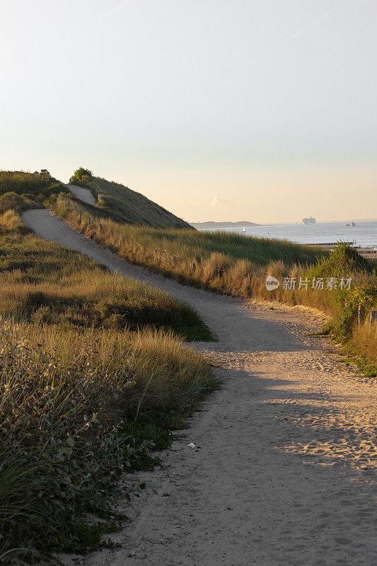 从荷兰泽兰的Zoutelande海滩上看到的北海附近沙丘的黄金日出时刻