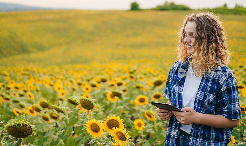 一头鬈发的年轻农妇站在田间，手里拿着石碑，端详夕阳下的向日葵。为文本腾出空间。现代农业，丰收。特写肖像。农业工人。农民田间。绿色的大自然。