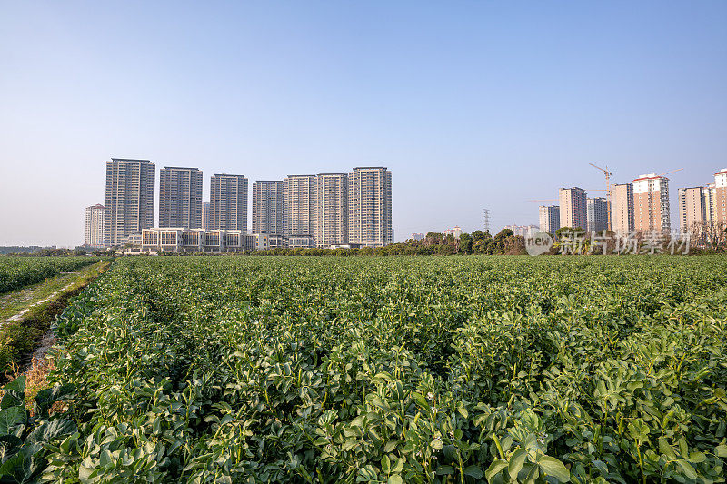 城郊的农业种植用地