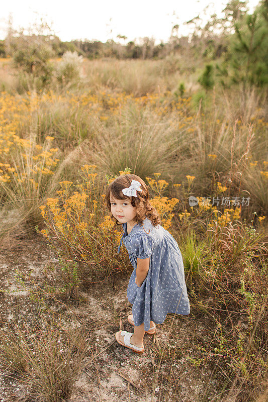 佛罗里达州朱庇特农场，一个可爱的古巴裔美国三岁小女孩，棕色卷发和棕色眼睛，穿着蓝色连衣裙，蝴蝶结和白色凉鞋，在黄色野花和干草的田野里玩耍