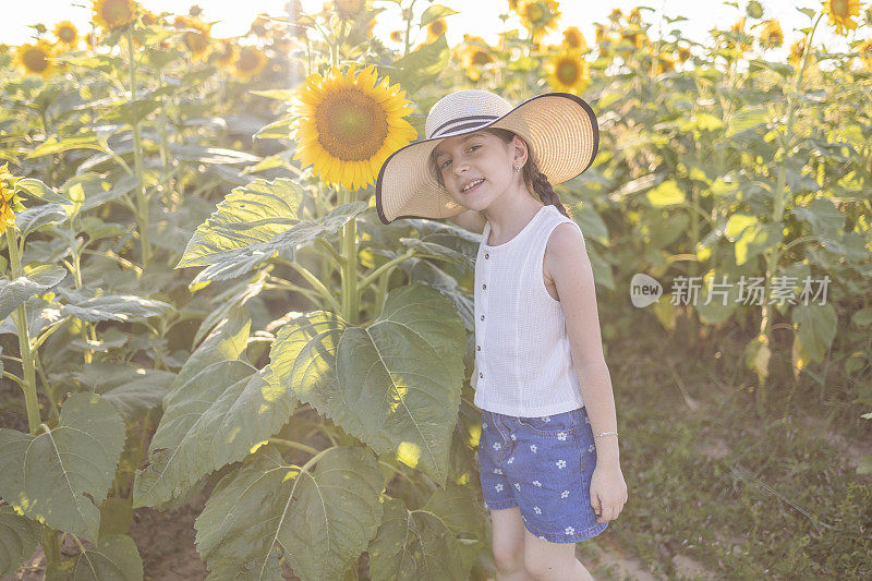 小女孩头戴草帽，在向日葵地里的向日葵旁摆姿势。