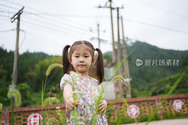 孩子们在户外采摘野花