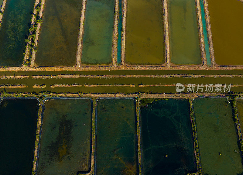 航拍照片，五颜六色的虾场在沿海河田，江省