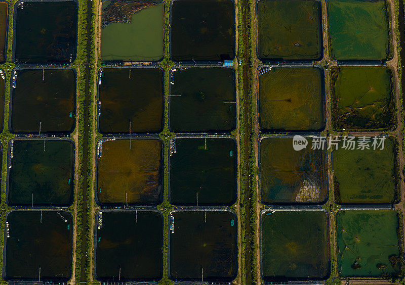 摘要航拍照片的虾养殖场在沿海河田，江西省