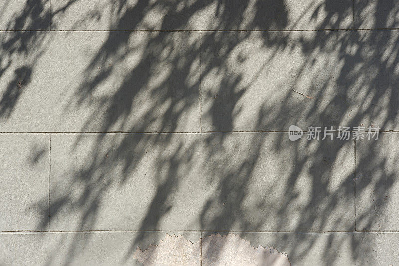 米色墙壁的一部分，附近树木的阴影