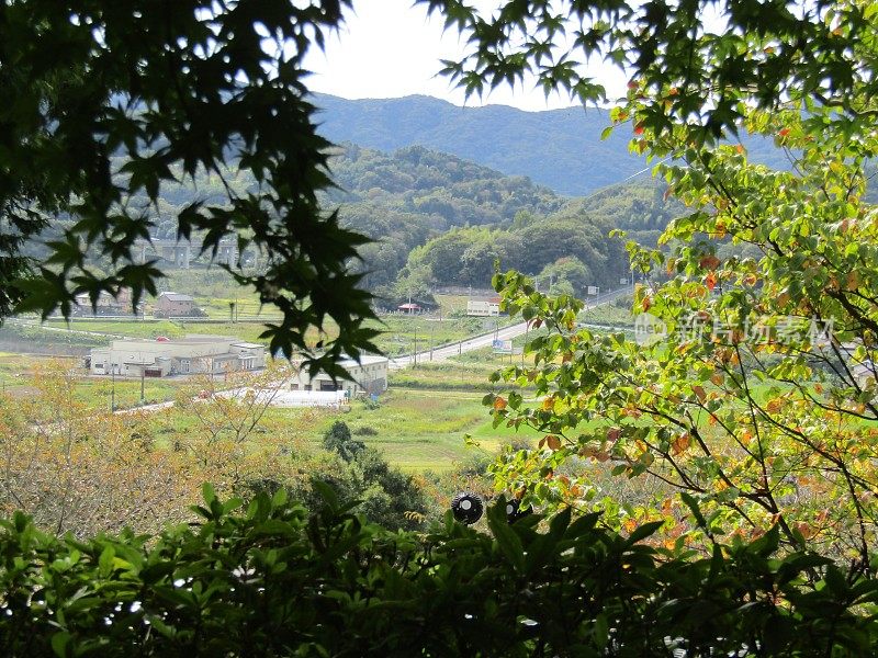 日本。十月。山的风景。