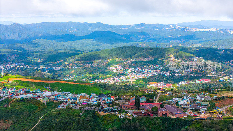 清晨美丽的风景，在大叻市，林东省。风吹茶山上，晨景山坡上茶树下